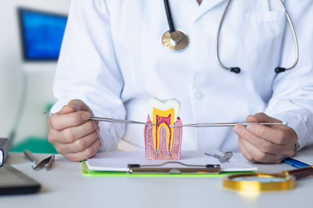 Best Urgent Care for Lost Fillings or Crowns in Olive Branch, MS